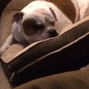 Meet your Posher, Jess